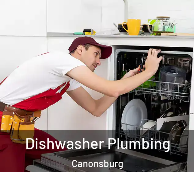  Dishwasher Plumbing Canonsburg