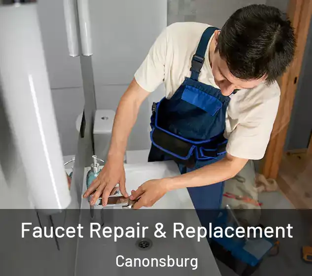  Faucet Repair & Replacement Canonsburg