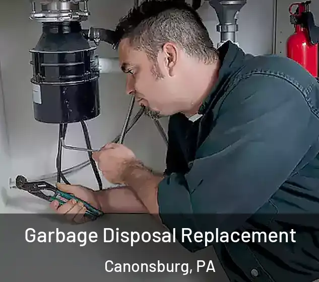  Garbage Disposal Replacement Canonsburg, PA