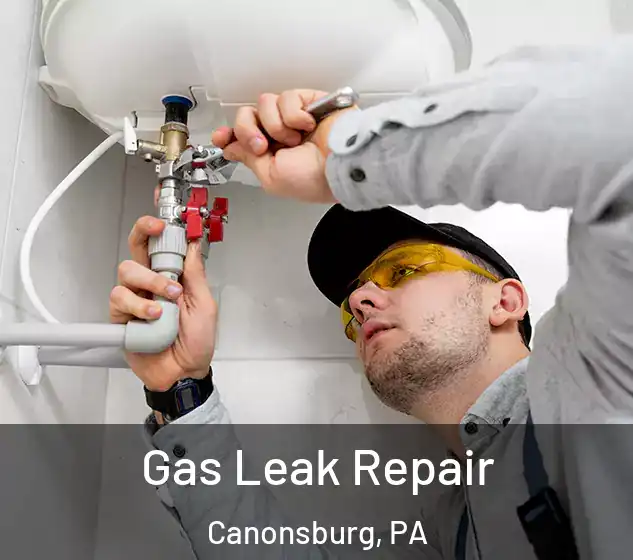  Gas Leak Repair Canonsburg, PA