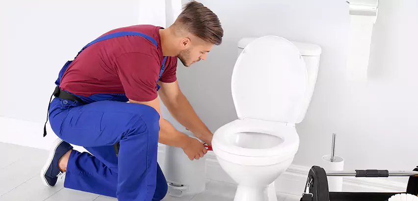 Scope of Bathroom Toilet Bowl Replacement Services in Canonsburg, PA