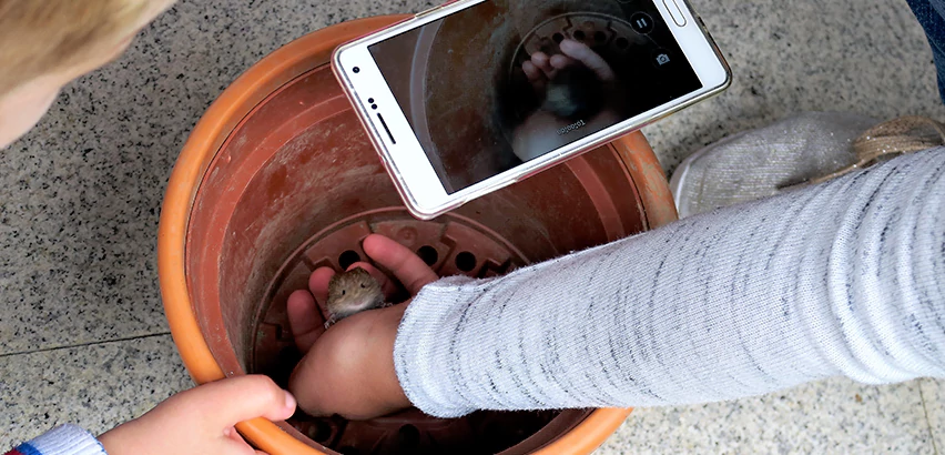 Scope of Drain Camera Inspection Services in Canonsburg, PA