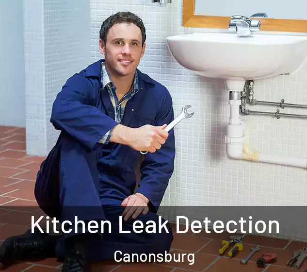  Kitchen Leak Detection Canonsburg