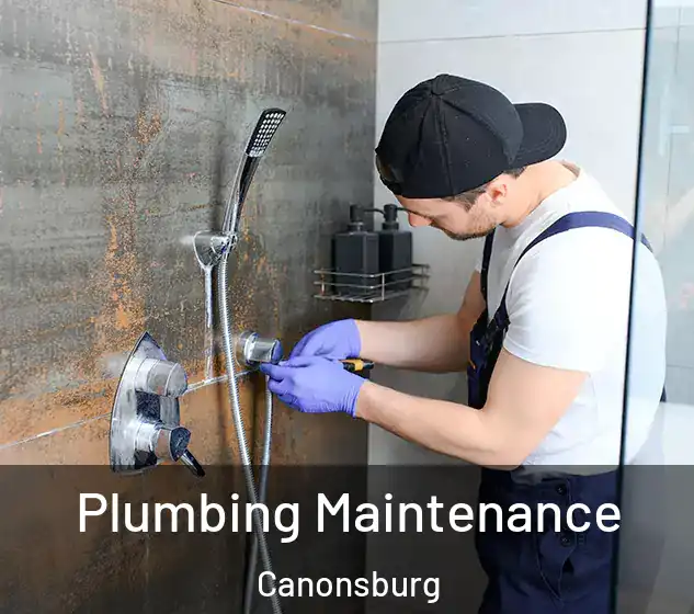  Plumbing Maintenance Canonsburg