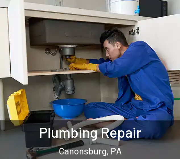  Plumbing Repair Canonsburg, PA