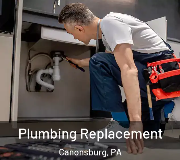  Plumbing Replacement Canonsburg, PA