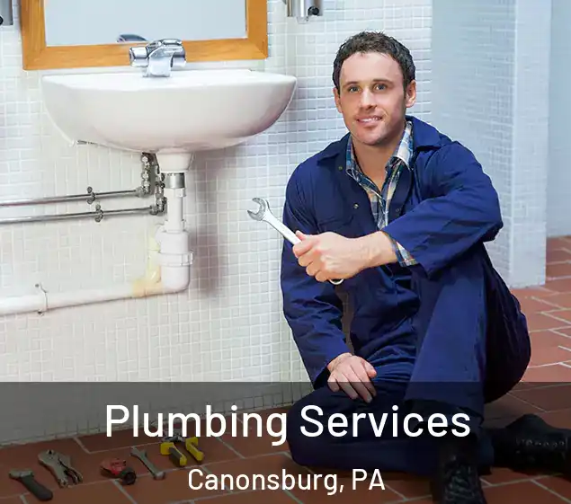  Plumbing Services Canonsburg, PA