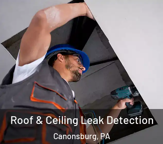  Roof & Ceiling Leak Detection Canonsburg, PA