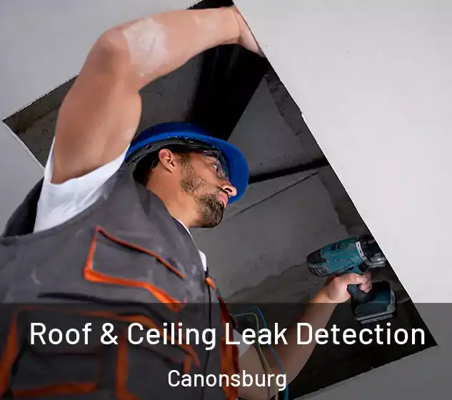  Roof & Ceiling Leak Detection Canonsburg