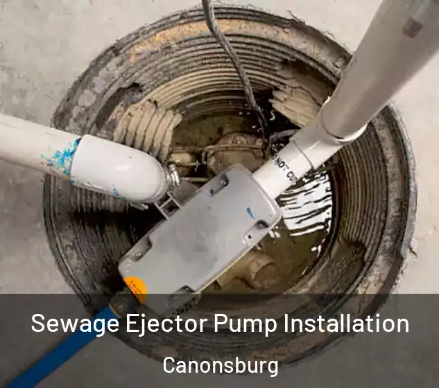  Sewage Ejector Pump Installation Canonsburg