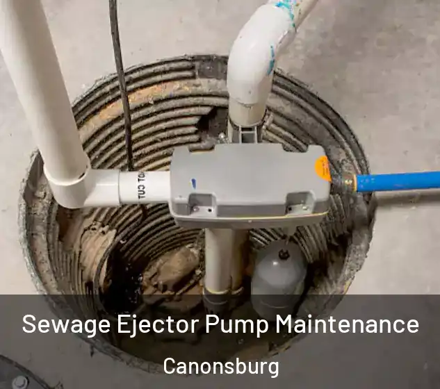  Sewage Ejector Pump Maintenance Canonsburg