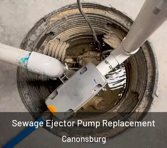  Sewage Ejector Pump Replacement Canonsburg