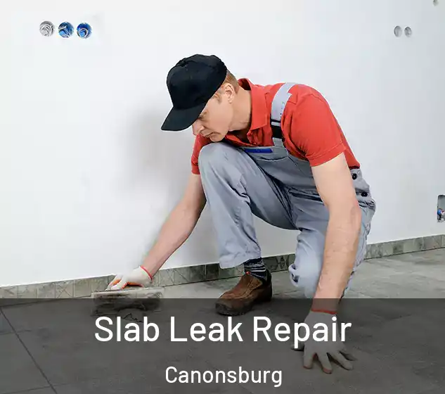  Slab Leak Repair Canonsburg