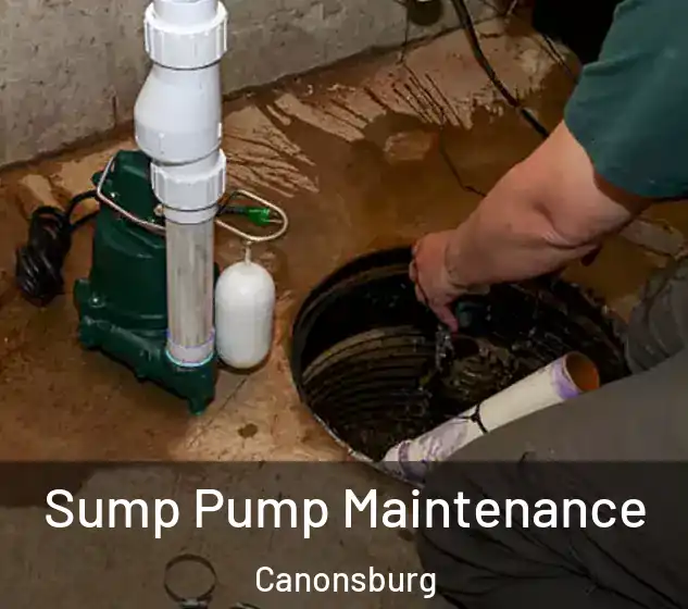  Sump Pump Maintenance Canonsburg