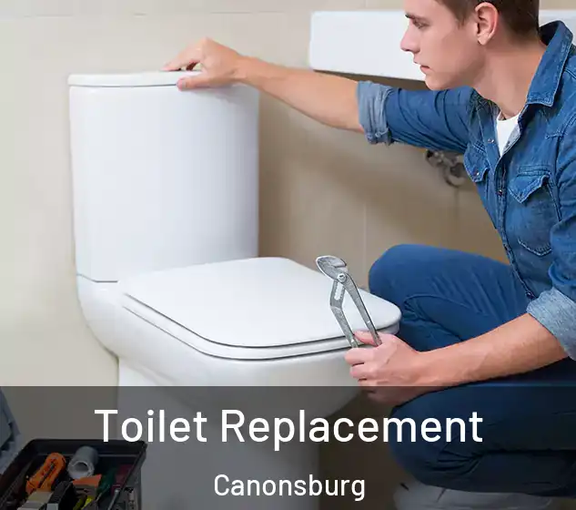  Toilet Replacement Canonsburg