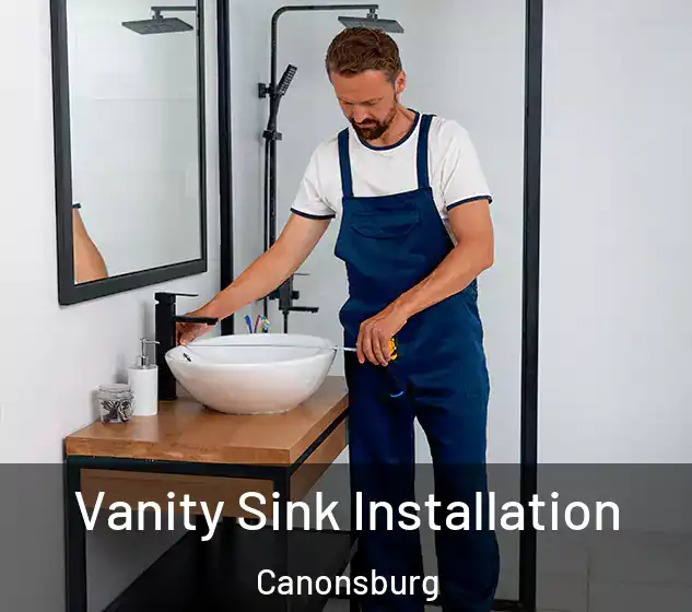 Vanity Sink Installation Canonsburg