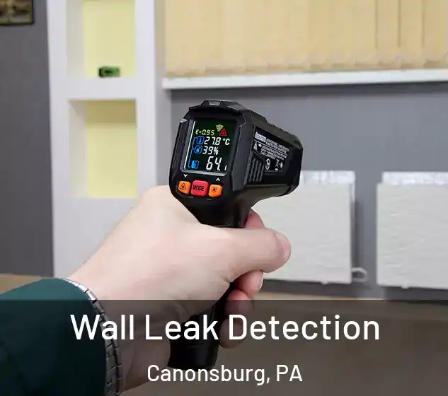  Wall Leak Detection Canonsburg, PA