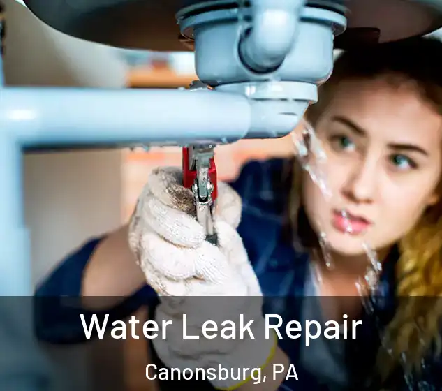  Water Leak Repair Canonsburg, PA