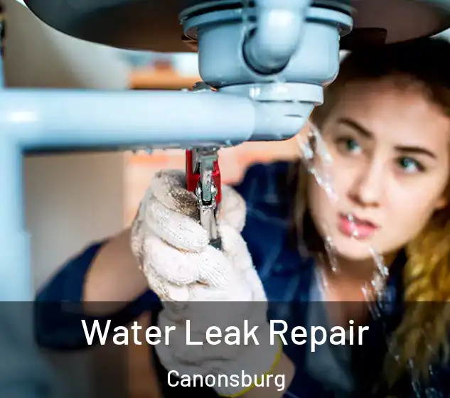  Water Leak Repair Canonsburg