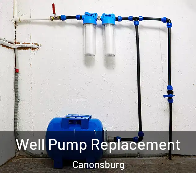  Well Pump Replacement Canonsburg